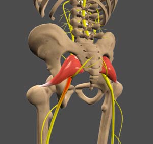 Sciatic Nerve Decompression