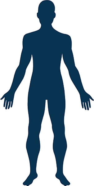 Body anatomy showing selectable areas
