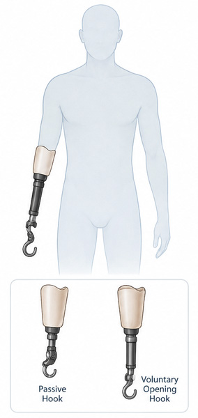 Functional and Passive Systems - Picture
