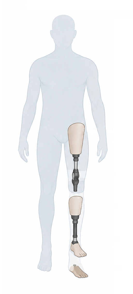 Body anatomy showing selectable areas