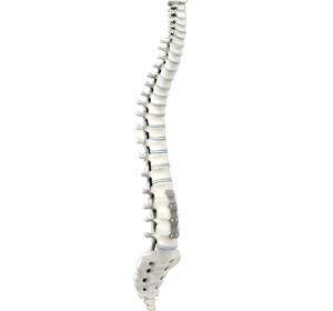 Anterior Lumbar Interbody Fusion