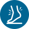 Foot and Ankle Procedures