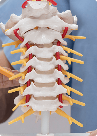 Spine Trauma