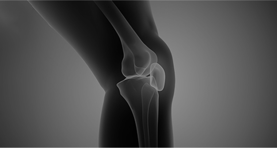Picture of Knee
