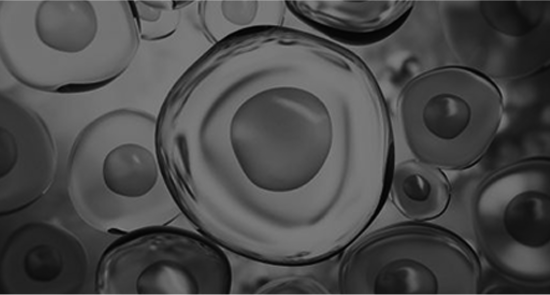Picture of Orthobiologics