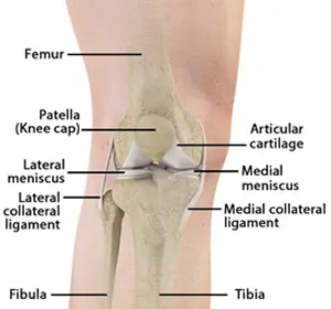 Unstable Knee - Educational Picture