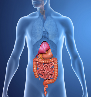 Diagnostic Tests for Gastrointestinal Disorders pic