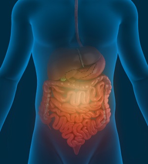 Irritable Bowel Syndrome Pic