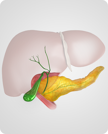 Pancreatic Conditions Img