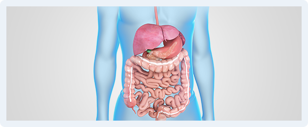 Functional Digestive Img