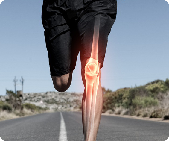 Knee - Service