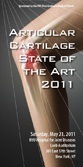 articular cartilage