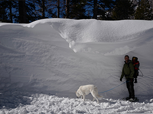 Sports Medicine Fellowship Gallery27