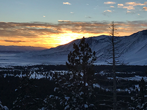 Sports Medicine Fellowship Gallery31