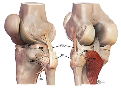 Proximal Tibiofibular Ligament Instability Img