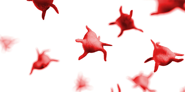 Platelet Rich Plasma (PRP) Img