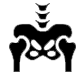 Picture of Hip