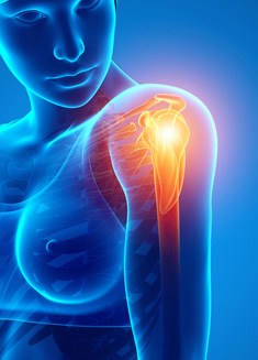 Shoulder