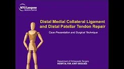 Distal Medial Collateral Ligament and Distal Patellar Tendon Repair sp
