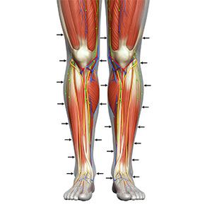 NormaTec (Trade Mark) Compression Therapy