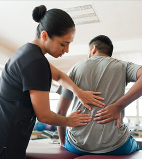 Physical/ Occupational Therapy