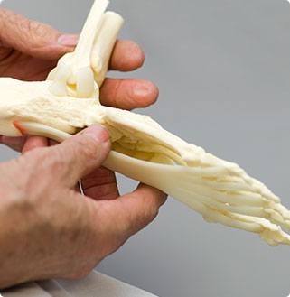 Foot & Ankle FAQs