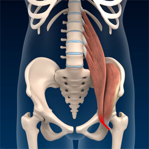 Hip Flexor Strain