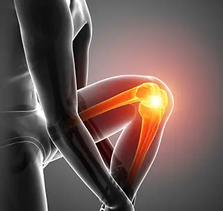 Knee Picture
