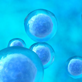 Stem Cell Therapy Image