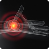 Hand & Wrist