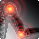 Shoulder & Elbow