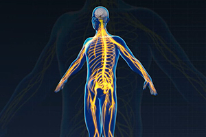 Neurology pic