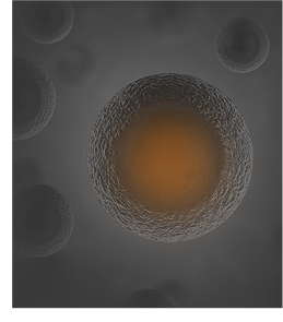 Regenerative Medicine Images