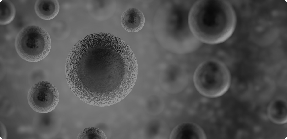 Stem Cell Therapy Images