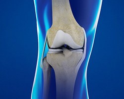 Picture of Knee Anatomy