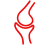 Knee