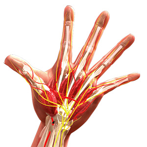 Microvascular Surgery images