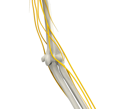 Complex Nerve Injury images