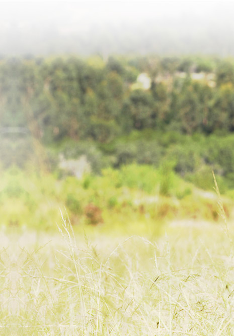 Upper Valley Orthopedics PLLC, Orthopedic Surgeons, Rexburg Idaho Theme-R