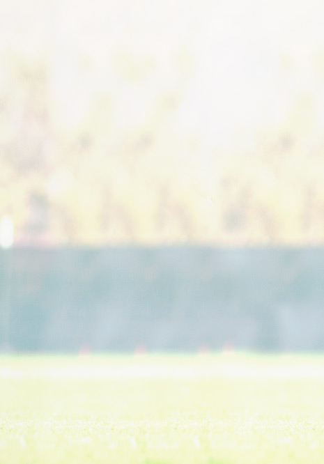 Upper Valley Orthopedics PLLC, Orthopedic Surgeons, Rexburg Idaho Theme-R