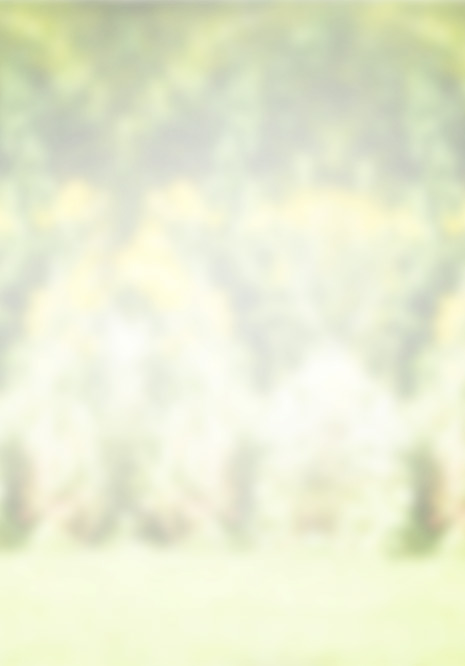 Upper Valley Orthopedics PLLC, Orthopedic Surgeons, Rexburg Idaho Theme-R