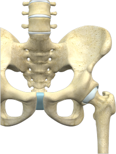 Upper Valley Orthopedics PLLC, Orthopedic Surgeons, Rexburg Idaho