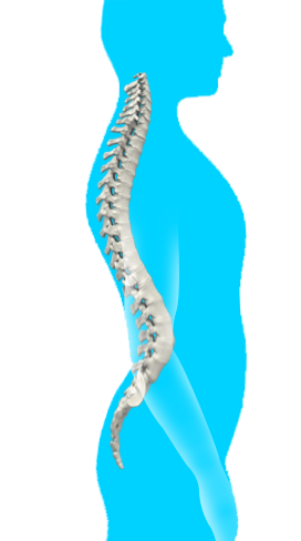Lordosis Images