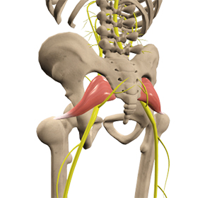 Piriformis Syndrome Images