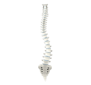 Scoliosis Images